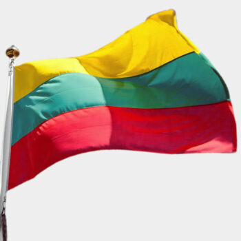 Vėliavos ir vėliavėlės su Lietuva ir miestų simbolika